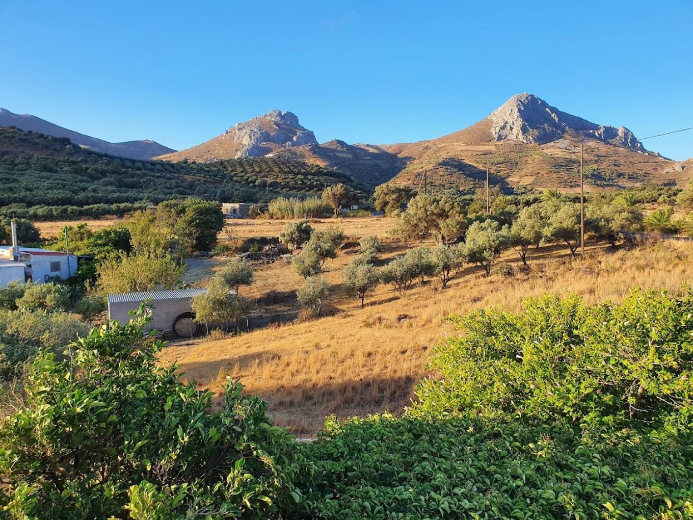 Preveli Hills Apartments Levkogia Eksteriør billede